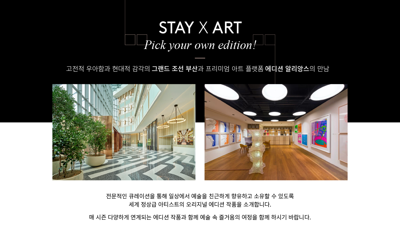 Stay X Art